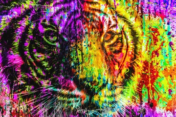 Foto op Plexiglas Colorful artistic lion muzzle with bright paint splatters color art © reznik_val