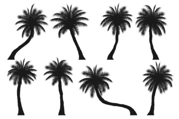 Fototapeta na wymiar set of silhouette palm tree, coconut tree