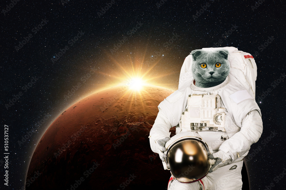 Poster Space cat astronaut in a space suit with a helmet on the background of the red planet Mars with rays of sunlight. Funny cat spaceman. Creative idea and pet