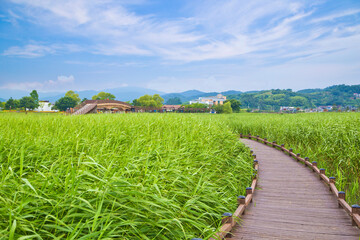 Suncheonman Bay Ecological Park, Suncheon, South Korea.