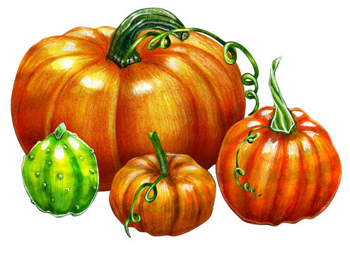 Autumn pumpkins halloween and holidays
