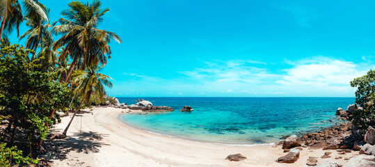 Fototapeta na wymiar tropical beach and blue sea in summer