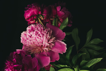 Bouquet of peonies close-up with light accent on flowers