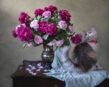 Curious kitty and splendid bouquet of summer flowers