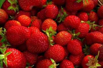 There are red strawberry berries.