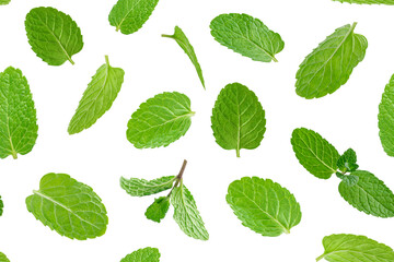 Seamless pattern of green mint leaves on white background.