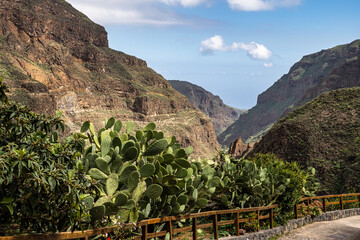 Fototapeta na wymiar Amazing View on Barranco de Guayadeque, Gran Canaria, Canary Island, Spain, Europe