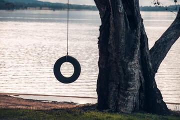 tyre swing in tree by lake