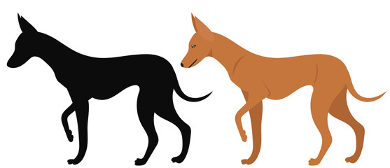 dog in flat design, isolated on white background vector