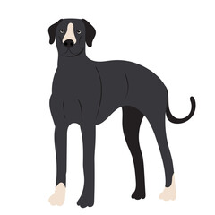 dog in flat design, isolated