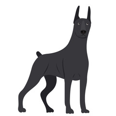 dog in flat design, isolated on white background