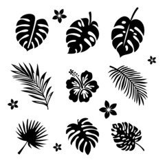 Set of vector clipart of the exotic leaves and flowers. EPS10