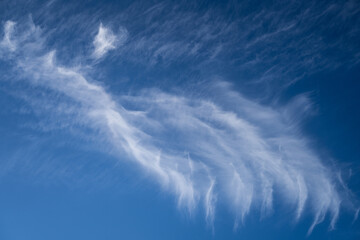 Cirrus fibratus clouds during daytime taking different shapes. 

Blue striped like clouds.
