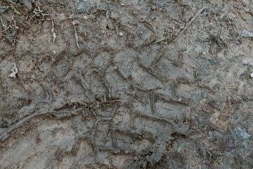 tyre pattern in the mud
