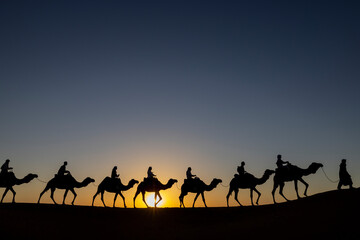 Caravana de camellos en el desierto del Sahara. Merzouga, Marruecos. - 510546547