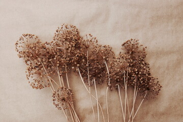 Dry flowers allium pattern vintage toned on beige background  top view. Floral card. Poster. Boho style.
