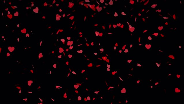 Falling red hearts on a alpha channel transparent background. 3D rendering of animation. Rain from hearts video effect for valentine's day and weddings.