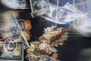 World grain crisis. Double exposure. A handful of cereals and 100 dollar banknotes on a blue background.