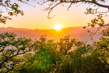 Fototapeta premium wonderful spring sunset in mountains with amazing view from highland among greeen tree branches to a valley with town, mountains and beautiful sunset on background