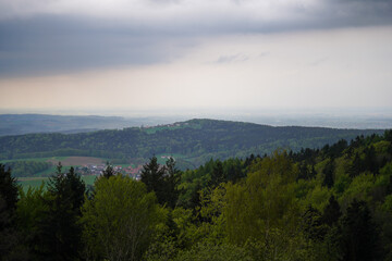 Forest areas in Germany photographed in the spring month of May