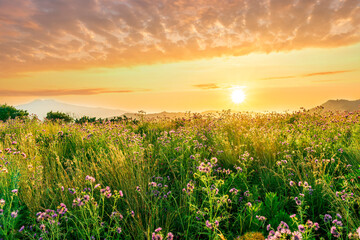 picturesque highland landscape with amazing view from hill with golden grass and green bushes