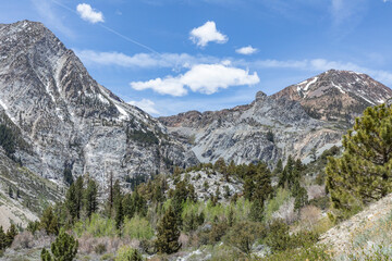 Fototapeta na wymiar scenic view to mountains of Tioga pass in the Yosemite national park