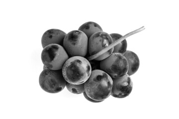 black grapes isolated on a white background