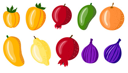 Fruit collection in flat hand drawn style illustrations. Tropical fruit and graphic design elements. Persimmon, lemon, pomegranate, fags, mango for fabric, pattern, decor