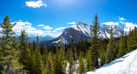 Fairview Panorama