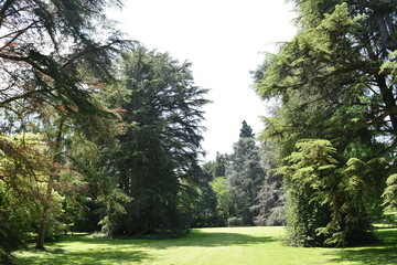 Parklandschaft
