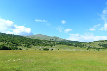 Fototapeta na wymiar Mountain landscape with meadows and hills. Karst field in Lika region, Croatia.