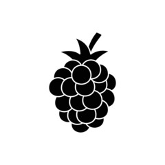 Blackberry fruit icon in black flat glyph, filled style isolated on white background
