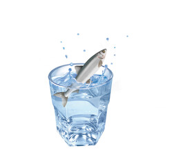 fera des léman, poisson, évasion, eau, en verre, boire, clapoter, glace, isolé, liquide, abattre, blanc, froid, bleu, éclaboussure, bouillonner, transparent, clair, cool, frais, humide, propre, rafraî