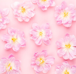 Obraz na płótnie Canvas Pink tulips blossom pattern on pastel background.