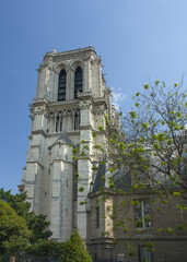 Cathedral of Notre-Dame de Paris in Paris, France	
