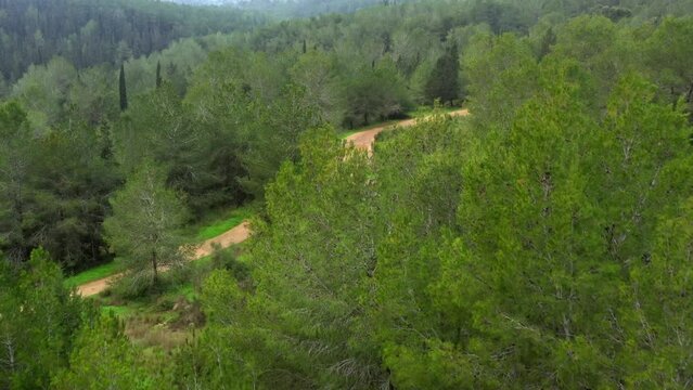 Aerial Shot Of Water Puddle On Road In Ben Shemen Forest, Drone Flying Forward Over Green Trees