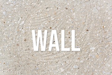 WALL - word on concrete background. Cement floor, wall.