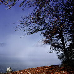 Bohinj