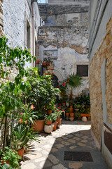 Fototapeta na wymiar A small street in Casamassima, a village with blue-colored houses in the Puglia region of Italy.