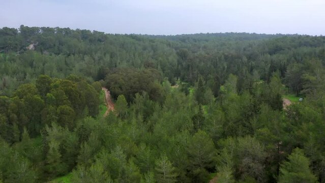 Aerial Forward Shot Of Muddy Road Amidst Trees In National Forest - Ben Shemen Forest, Israel
