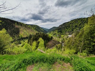 Black Forest Panorama From the top of  Teufelsschwanzli (the Devil's Tail), high contrast, cloudy,...