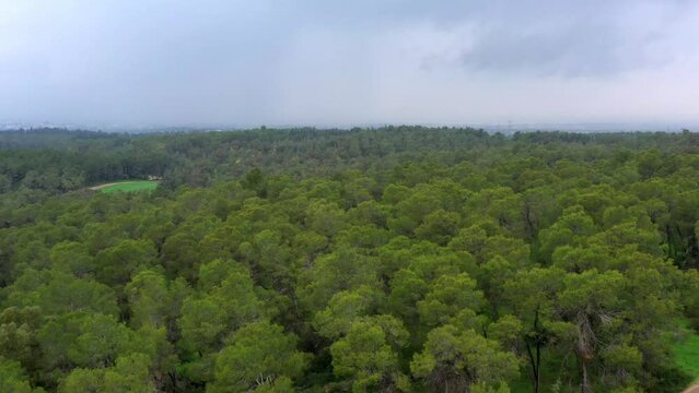 Aerial Backward Shot Of Ben Shemen Forest Against Cloudy Sky