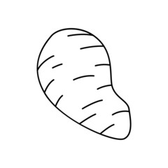 Sweet potato icon in line style icon, isolated on white background