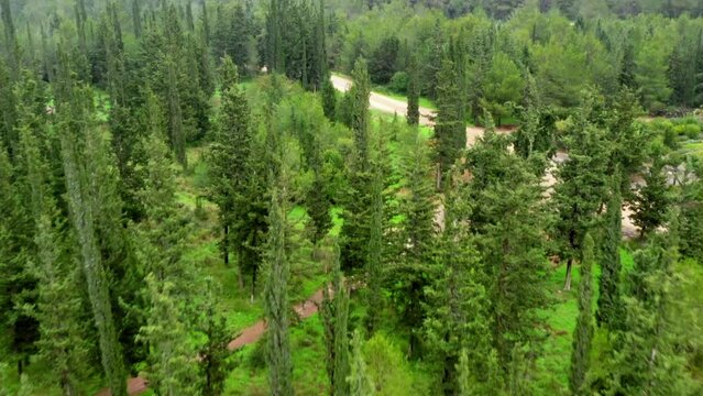 Aerial Forward Panning Shot Of Green Trees In Ben Shemen Forest