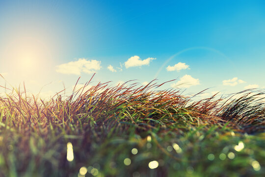 Puesta de sol de los campos y el rayo de sol.Viento en el prado, la naturaleza de fondo. Hierba verde y el cielo del amanecer de fondo del paisaje.