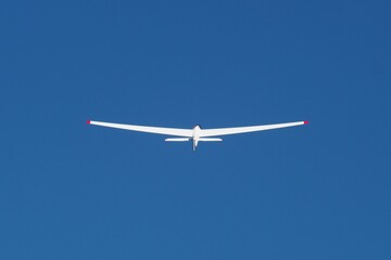 Fototapeta na wymiar glider in the blue sky