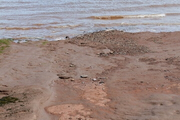 rocks on the beach