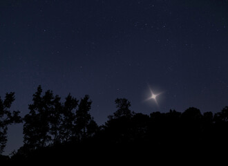 Fototapeta na wymiar Shining star over a North Carolina treeline