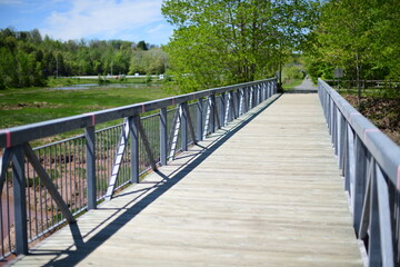 Fototapeta premium wooden bridge in the park