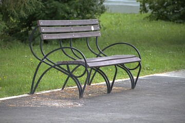 An empty bench in the park alley on a summer day